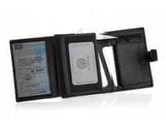 Betlewski Pánská kožená peněženka Bpm-Gtn-64 Black