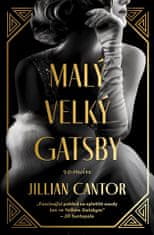 Jillian Cantor: Malý velký Gatsby