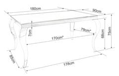 Veneti Jídelní stůl PREDRAG - 180x90, černý / chrom