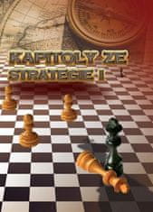 Richard Biolek: Kapitoly ze strategie I