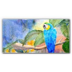 COLORAY.CZ Obraz na skle Opustí zvířecí parrot 100x50 cm