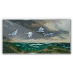 COLORAY.CZ Obraz na skle Sea Sky Birds labutě 100x50 cm