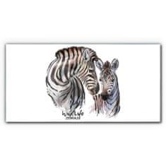 COLORAY.CZ Obraz na skle Zebra Animal Strips 120x60 cm