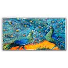 COLORAY.CZ Obraz na skle Zvířata ptáci Peacock 100x50 cm