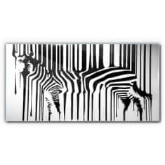 COLORAY.CZ Obraz na skle zebra 120x60 cm