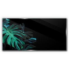 COLORAY.CZ Obraz na skle Jungle Botany Leaf 120x60 cm