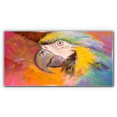 COLORAY.CZ Obraz na skle Abstraktní zvířecí parrot 100x50 cm