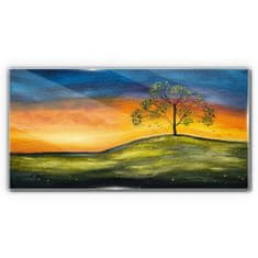 COLORAY.CZ Obraz na skle Louka Sky Sunset 120x60 cm