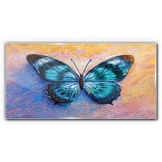 COLORAY.CZ Obraz na skle Butterfly hmyz barevný 120x60 cm