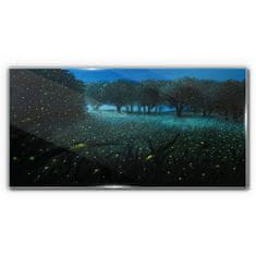 COLORAY.CZ Obraz na skle Lesní noční fireflies 120x60 cm