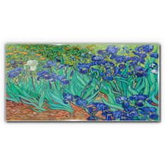 COLORAY.CZ Obraz na skle Van Gogh Irises 100x50 cm