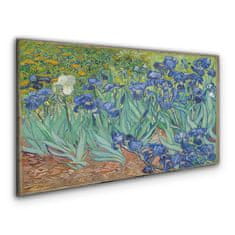 COLORAY.CZ Obraz na plátně Van Gogh Irises 120x60 cm