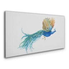 COLORAY.CZ Obraz na plátně zvířecí pták páv 100x50 cm