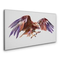 COLORAY.CZ Obraz na plátně Zvířecí pták Eagle 120x60 cm