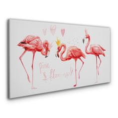 COLORAY.CZ Obraz na plátně Zvířecí pták Flaming 120x60 cm