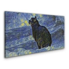 COLORAY.CZ Obraz na plátně Abstrakce kočka noční hvězda 100x50 cm