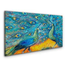 COLORAY.CZ Obraz na plátně Zvířata ptáci Peacock 120x60 cm