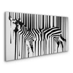 COLORAY.CZ Obraz na plátně zebra 100x50 cm