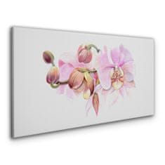 COLORAY.CZ Obraz na plátně Akvarel orchidej květina 120x60 cm