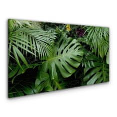 COLORAY.CZ Obraz na plátně Tropické džungle listy 120x60 cm
