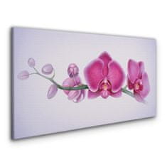 COLORAY.CZ Obraz na plátně Akvarel květina větev orchidej 120x60 cm