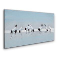 COLORAY.CZ Obraz na plátně Zvířata ptáci 120x60 cm