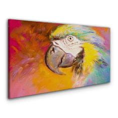 COLORAY.CZ Obraz na plátně Abstraktní zvířecí parrot 140x70 cm