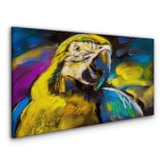 COLORAY.CZ Obraz na plátně Abstraktní zvířecí parrot 100x50 cm