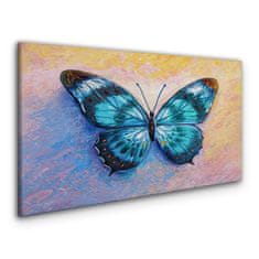 COLORAY.CZ Obraz na plátně Butterfly hmyz barevný 100x50 cm