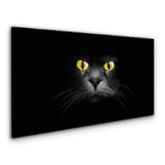 COLORAY.CZ Obraz na plátně Zvířata kočky oči 120x60 cm