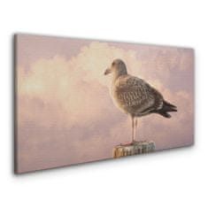 COLORAY.CZ Obraz na plátně Zvířecí pták Seagull Sky 100x50 cm