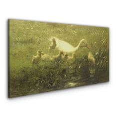 COLORAY.CZ Obraz na plátně Zvířata kachna tráva příroda 120x60 cm