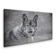 COLORAY.CZ Obraz na plátně Zimní sníh zvířecí vlka pes 120x60 cm
