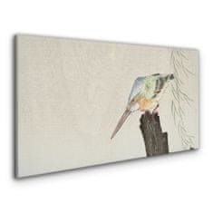 COLORAY.CZ Obraz na plátně Zvířata ptáci ledňáček 100x50 cm