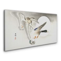 COLORAY.CZ Obraz na plátně Zvířata Birds Duck 100x50 cm