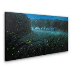 COLORAY.CZ Obraz na plátně Lesní noční fireflies 100x50 cm