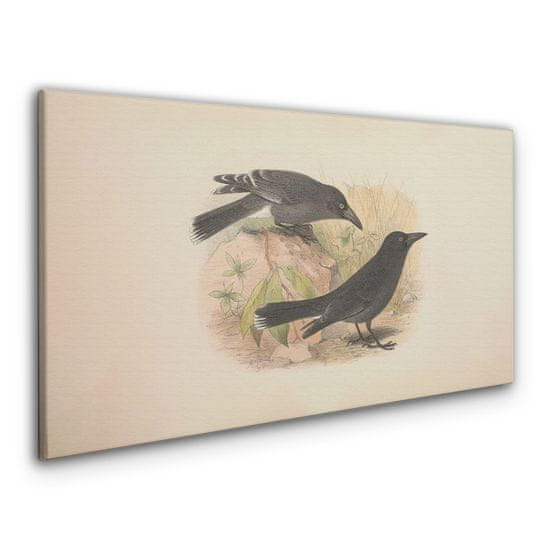 COLORAY.CZ Obraz na plátně Ptáci zvířata kreslení