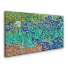 COLORAY.CZ Obraz na plátně Van Gogh Irises 120x60 cm
