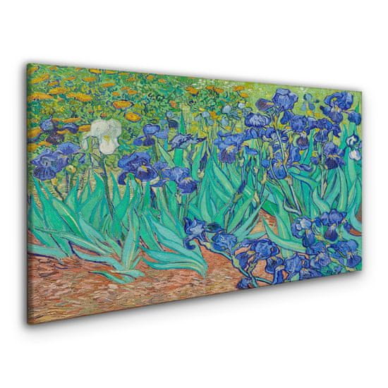 COLORAY.CZ Obraz na plátně Van Gogh Irises