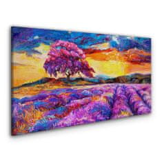 COLORAY.CZ Obraz na plátně Západ slunce stromová louka 120x60 cm
