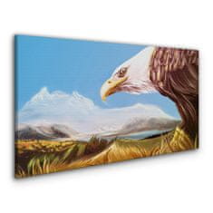 COLORAY.CZ Obraz na plátně Zvířecí pták orel obloha 100x50 cm