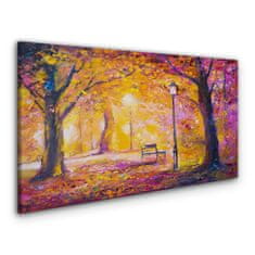 COLORAY.CZ Obraz na plátně Lesní park Stromy lampa lavice 120x60 cm