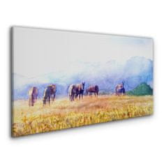COLORAY.CZ Obraz na plátně Zvířata koně louka příroda 100x50 cm