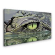 COLORAY.CZ Obraz na plátně Zvířecí krokodýlí oční voda 120x60 cm