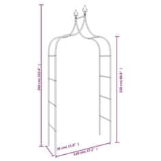 Vidaxl Zahradní oblouky 2 ks černé 120 x 38 x 260 cm ocel
