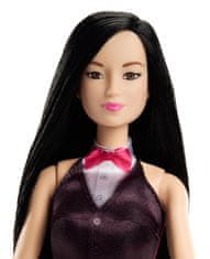 Mattel Barbie První povolání - Houslistka DVF50