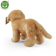 Rappa Plyšový labrador stojící 20 cm ECO-FRIENDLY