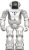 Silverlit Robot Program A BOT X