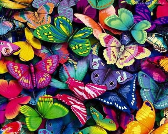 TADEKMARK Haft Diamond Painting Diamantová mozaika 5D Butterflies