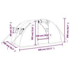 Vidaxl Skleník s ocelovým rámem zelený 8 m² 4 x 2 x 2 m